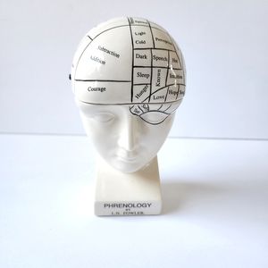 Phrenology Head ceramic porcelain medical terms decor
